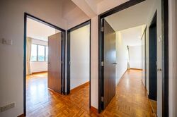 Nassim Regency (D10), Condominium #580722051